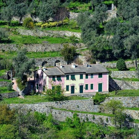 Villa Olivari - Apt La Lavanda Camogli Exterior foto