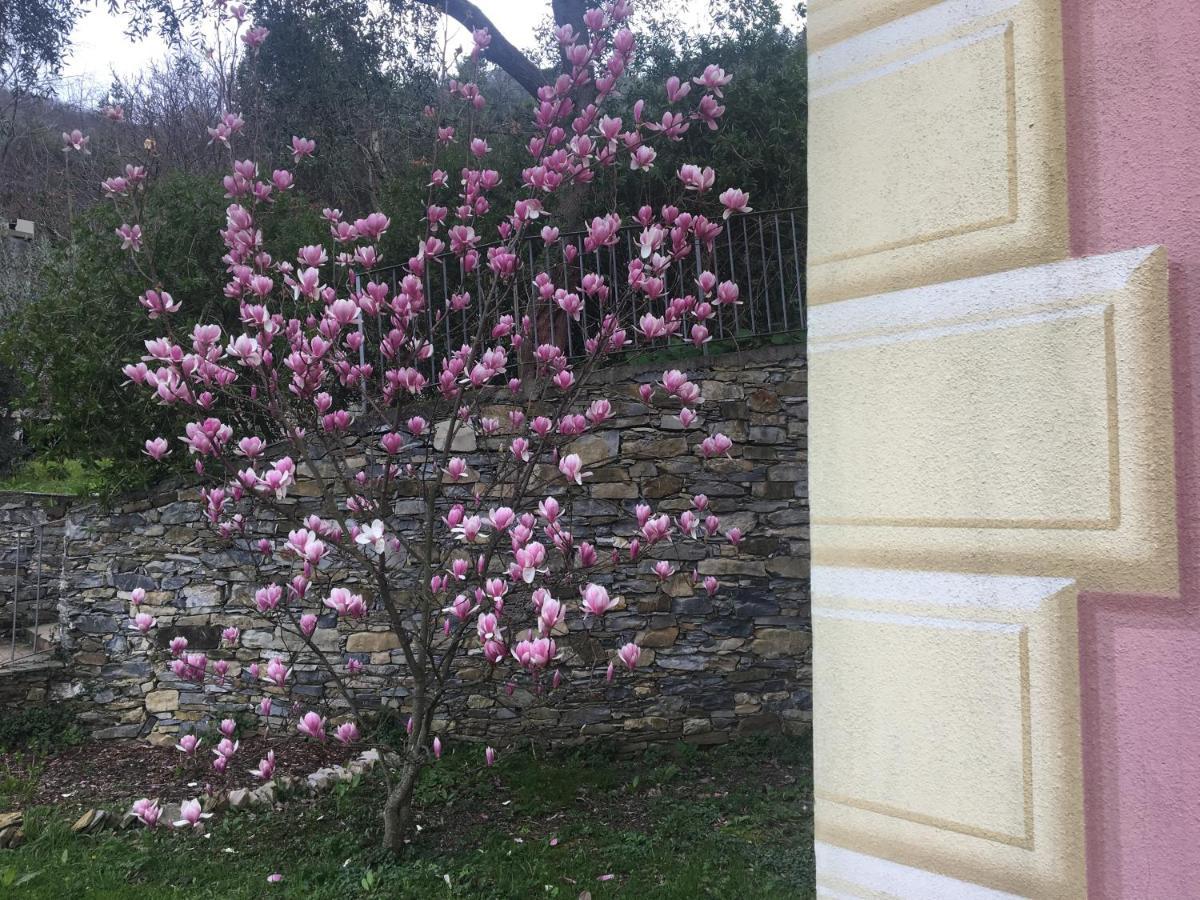 Villa Olivari - Apt La Lavanda Camogli Exterior foto
