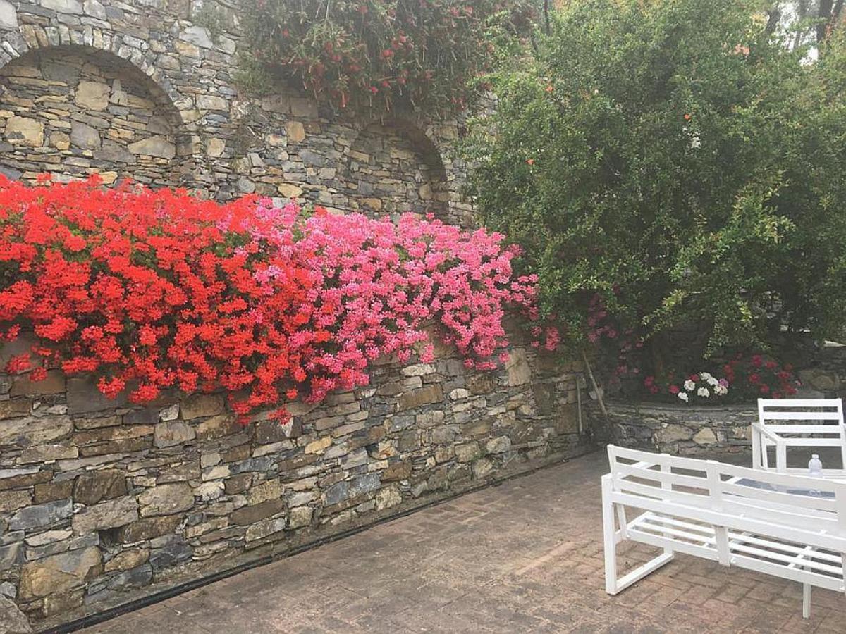 Villa Olivari - Apt La Lavanda Camogli Exterior foto