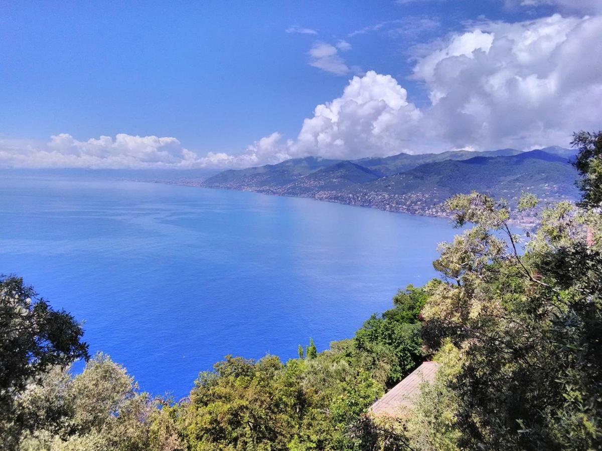 Villa Olivari - Apt La Lavanda Camogli Exterior foto