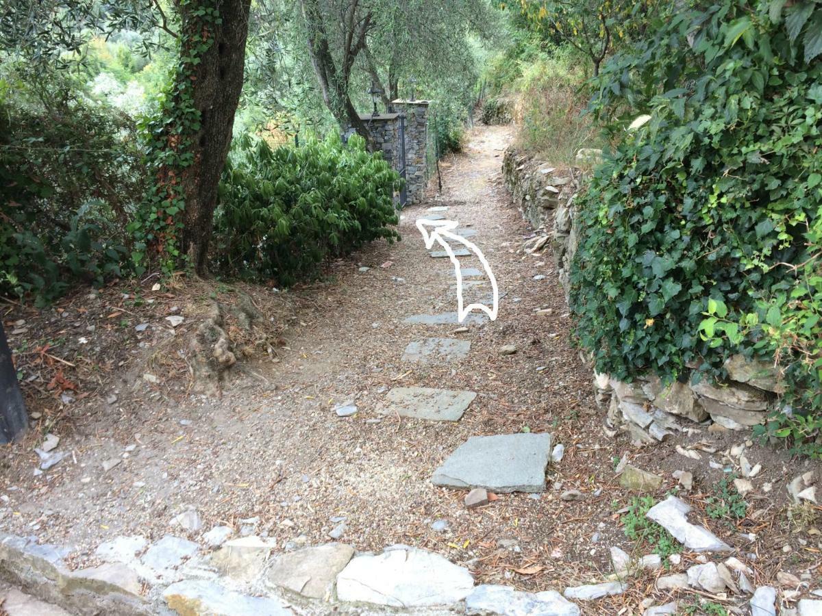 Villa Olivari - Apt La Lavanda Camogli Exterior foto
