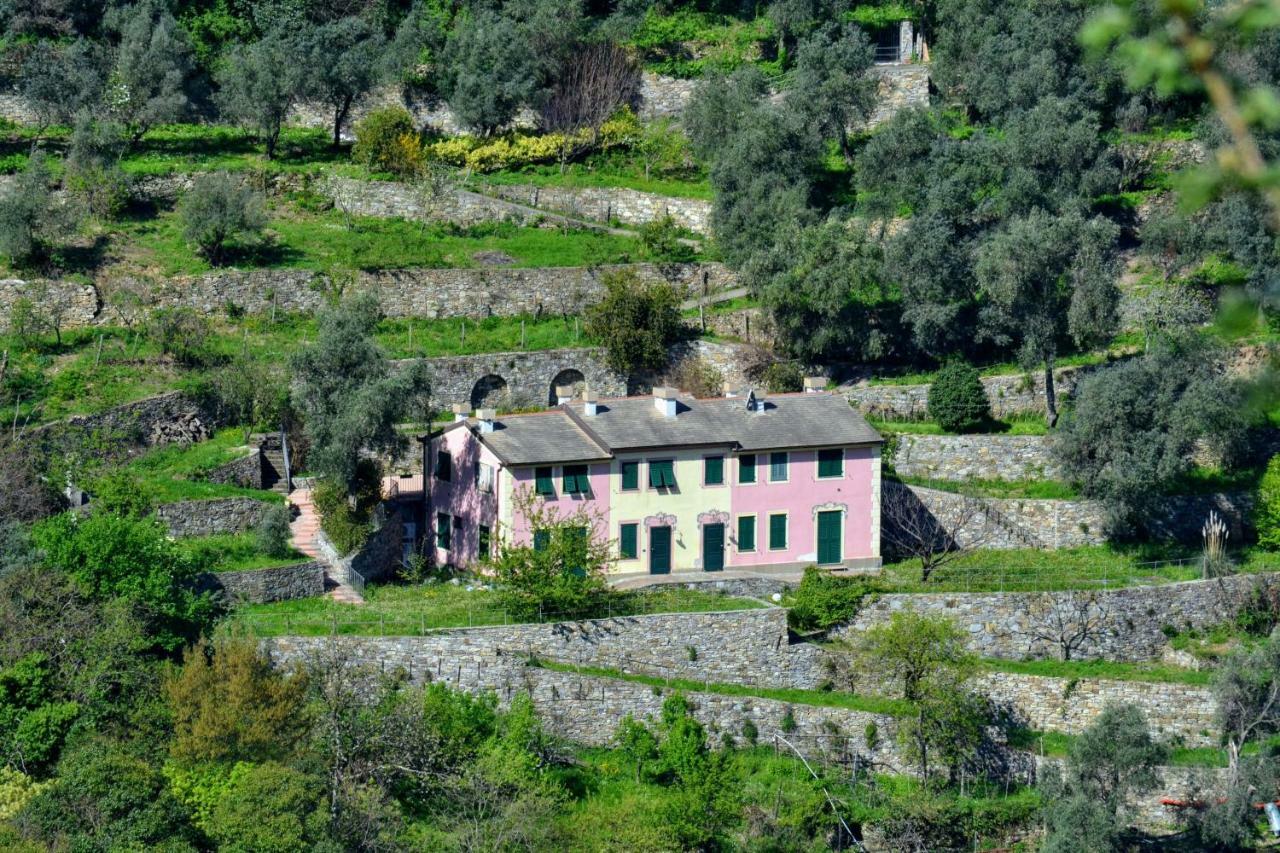 Villa Olivari - Apt La Lavanda Camogli Exterior foto